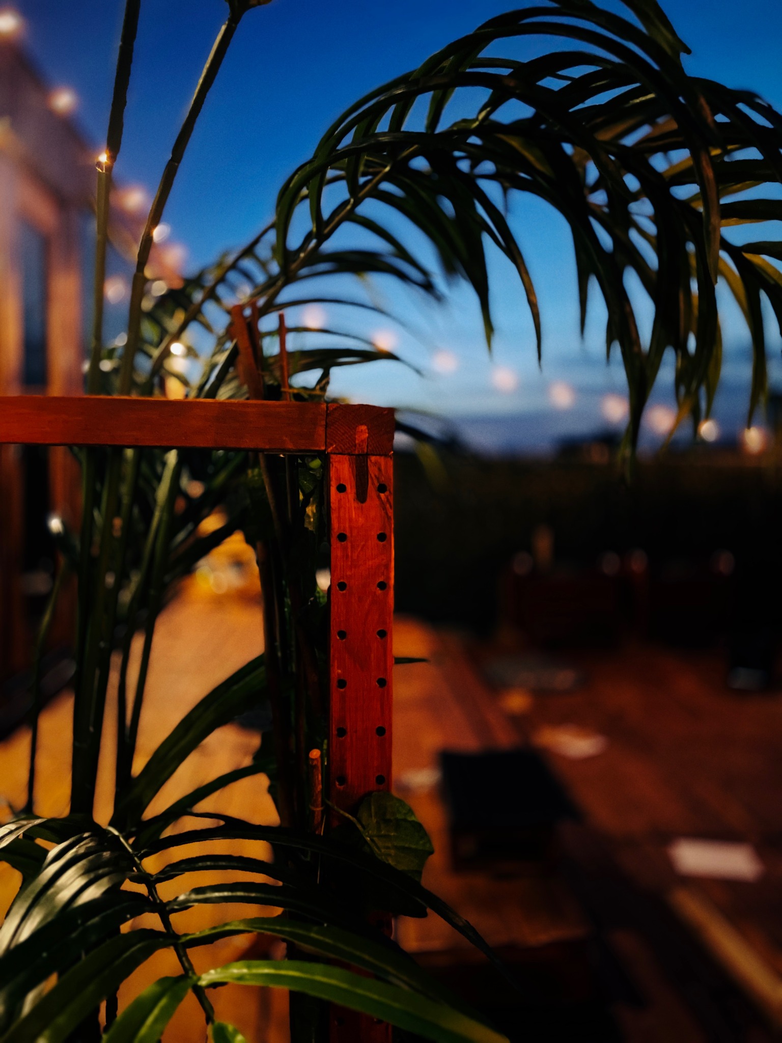 Foliage and evening lights outside the sauna at dusk